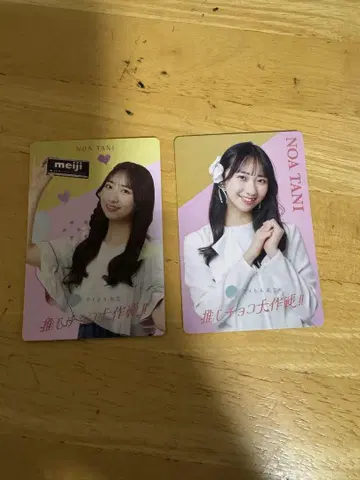 타이틀 미정 메이지 최애 초코 대작전 타니 노아