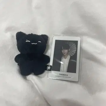 the boyz 주연 봉제 인형