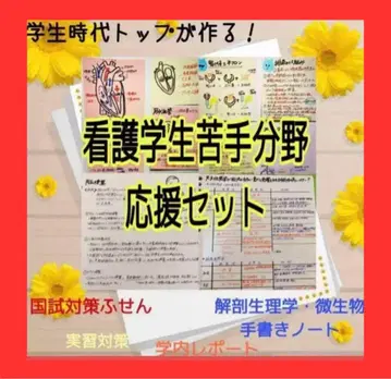 간호학과 학생 약점 분야 응원 세트! 국시 실습 해부 생리학 리포트 등