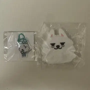 txt 메이저 욘몬세트