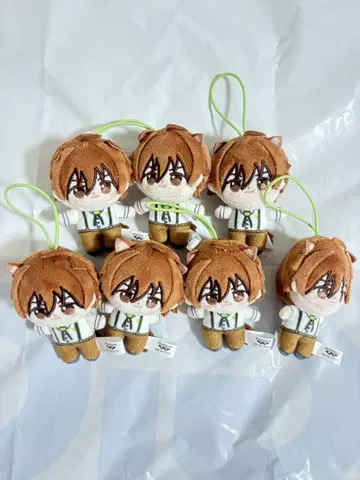 아이돌 마스터 SideM 호와누이 아마가세 토우마 7개 세트