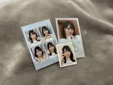 = LOVE 이코 사사키 마이카 4컷 포토카드 ID 사진 미니 사진