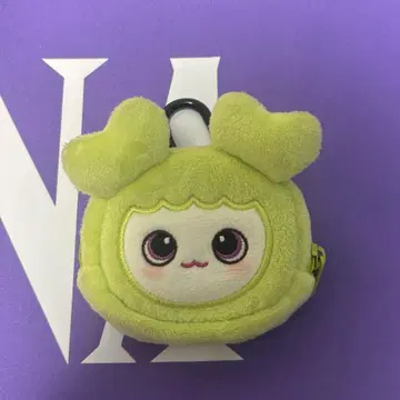 정블리 이어폰 파우치