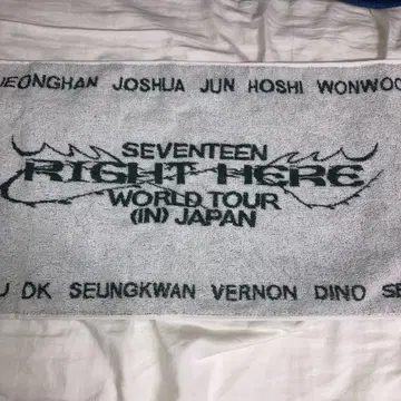 SEVENTEEN 세부치 타월
