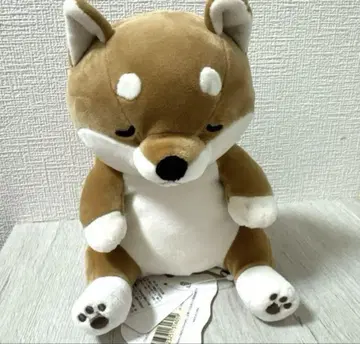 넴넴 애니멀즈 시바견 봉제 인형