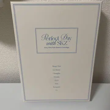 stray kids perfect day with skz 2024