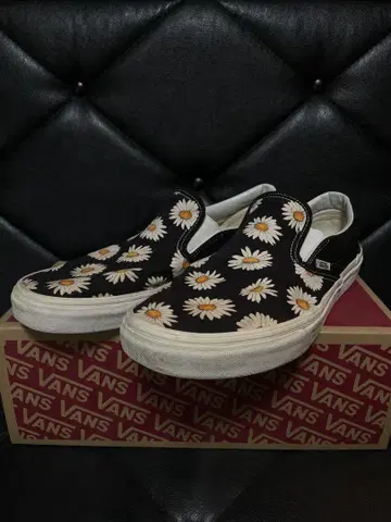 VANS slipon 슬립온 Daisies