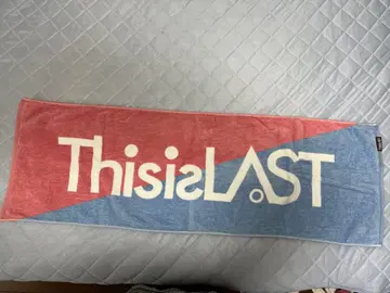[ 낱개 판매 OK ] This is Last 타월과 러버 밴드 세트