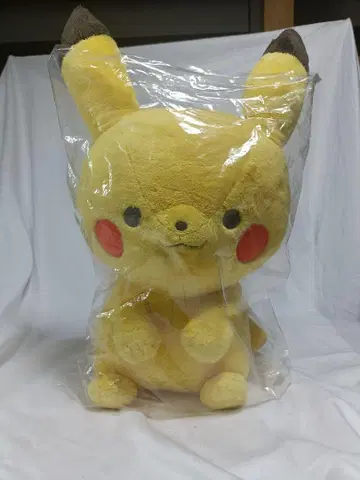 포켓몬 몽포케 피카츄 세키구치 봉제 인형