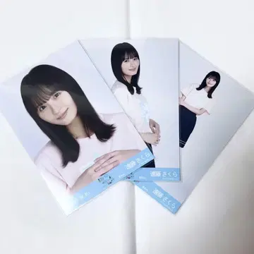 엔도 사쿠라 한여름 전국 투어 2025 T셔츠 카가와 Ver. 컴프