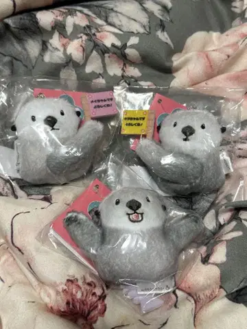 랏코 메이, 키라 후와후와 마스코트 펠리시모 토바 수족관