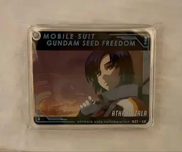 건담 SEED FREEDOM 애니메이트 카페 콜로타 아스란