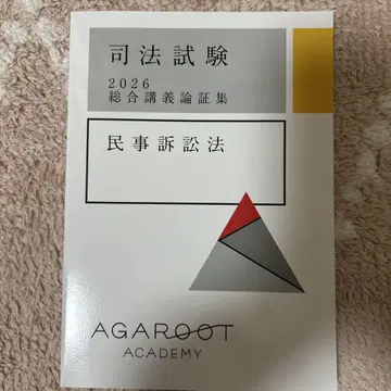 아가루트 민사소송법 논증집