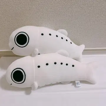 봉제 인형