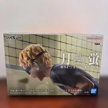 츠키시마 케이 하이큐 카라스노 고교 피규어