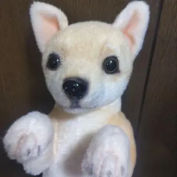 터치 Zoo 강아지 봉제 인형