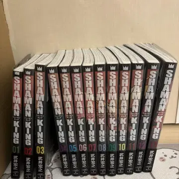 샤먼킹 완전판 1~13권