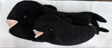 마린월드 고래 대형 봉제 인형 유키짱