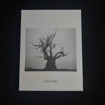 SEKAI NO OWARI 2010-2019 완전 한정 프리미엄 BOX