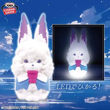 Fate/Grand Order 룸 라이트