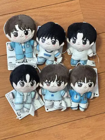 TWS 호와누이 전 6종 컴플리트 세트