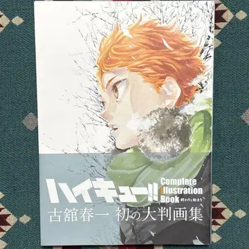 하이큐!! Complete Illustration book 초판