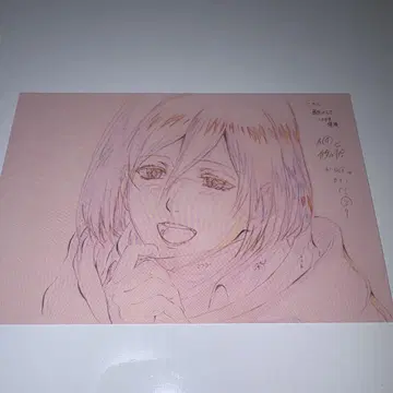 진격의 거인 미카사 엽서 the animation gallery
