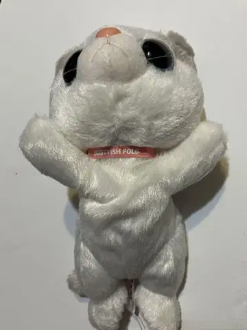 스코티시 폴드 봉제 인형