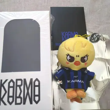 스키즈 KARMA 필릭스 포가리 SKZOO