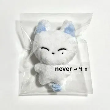 ENHYPEN 에나이픈 선우 봉제 인형 키링 인형