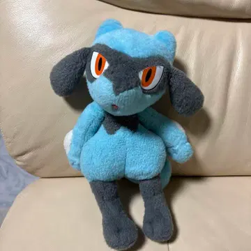 포켓몬 리오르 너로 정했다! 포켓몬 겟 봉제 인형