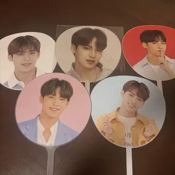 MinGyu 부채 5장 세트 세부치