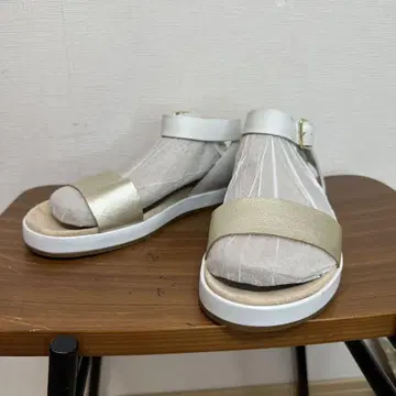 Clarks Botanic Ivy / 보타닉 아이비