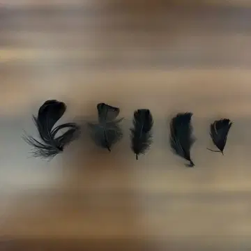 나니와단시 봉봉 보야주 낙하물 깃털 5개 세트