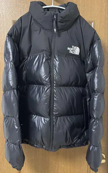 THE NORTH FACE M'S NUPTSE ON BALL JACKET