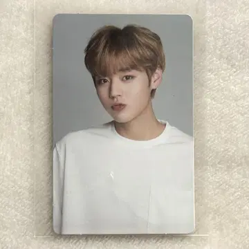 워너원 박지훈 트레이딩 카드