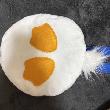 도날드 베레모