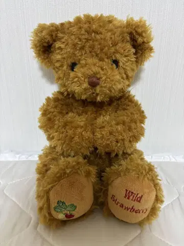 곰 봉제 인형 Wild Strawberry
