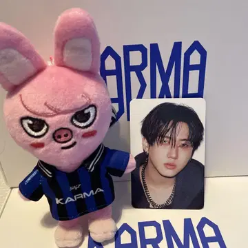 Stray Kids KARMA SKZOO ver 돼끼 창빈