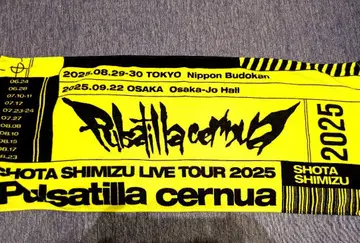 SHOTA SHIMIZU 2025 라이브 투어 타월