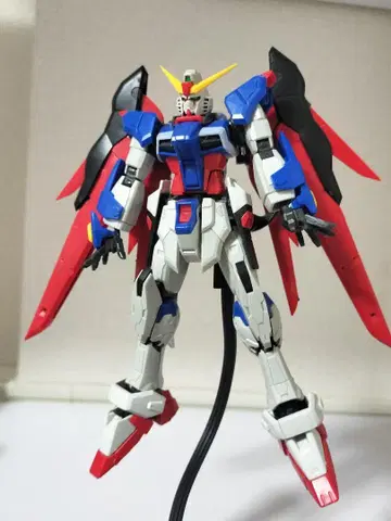 RG 데스티니