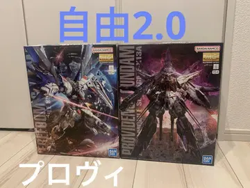 MG 1/100 프리덤 건담 Ver.2.0 프로비던스 건담