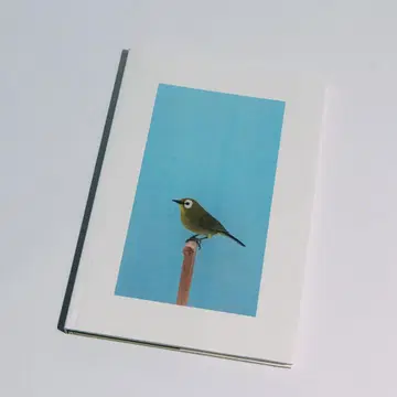 [ 새상품급 ] Luke Stephenson 작품집 [ 레어도서 ]