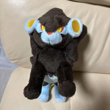 포켓몬스터 너로 정했다! 포켓몬 겟 봉제 인형 렌트라