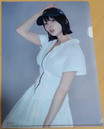 오카다 사야카 토조 리오 / 클리어 파일