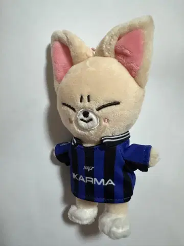 Stray Kids 스키즈 KARMA skzoo 폭시니 아이엔