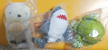 수족관의 생물 3