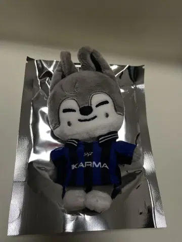 straykids karma skzoo 방찬 울프찬
