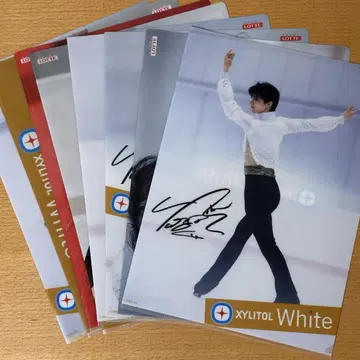 하뉴 유즈루 클리어 파일