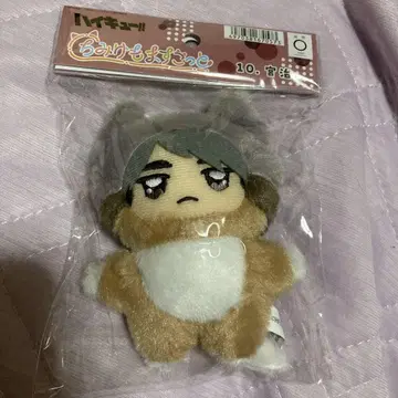 하이큐 치미케모 마스코트 봉제 인형 10. 미야 오사무